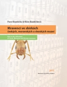Mravenci ve sbírkách českých, moravských a slezských muzeí